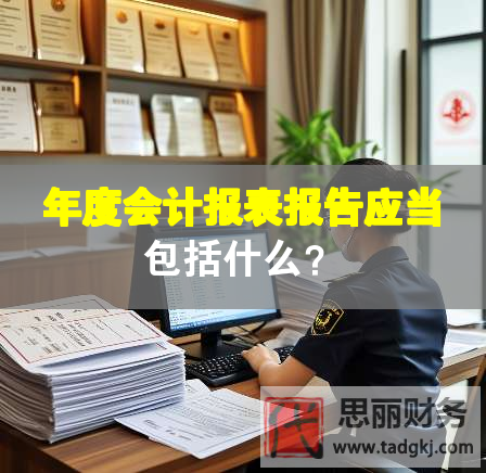 年度會計報表報告應當包括什么？