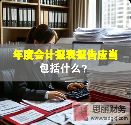年度會計報表報告應當包括什么？