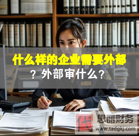 什么樣的企業需要外部？外部審什么？