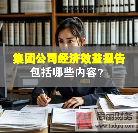 集團公司經濟效益報告包括哪些內容？