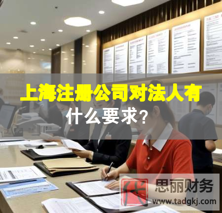 上海注冊公司對法人有什么要求？