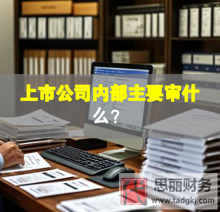 上市公司內部主要審什么？