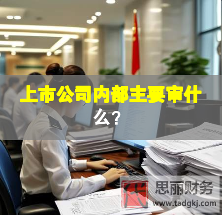 上市公司內部主要審什么？