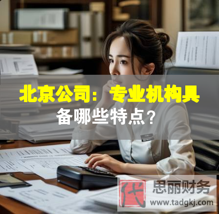 北京公司：專業機構具備哪些特點？
