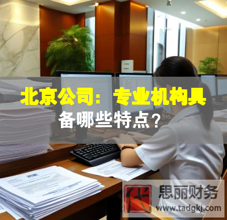 北京公司：專業機構具備哪些特點？