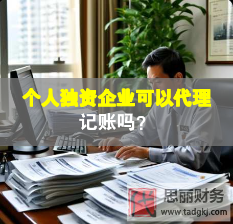 個人獨資企業可以代理記賬嗎？