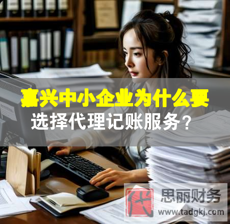嘉興中小企業為什么要選擇代理記賬服務？