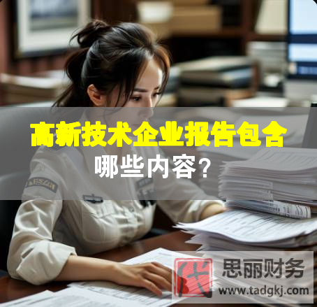 高新技術企業報告包含哪些內容？