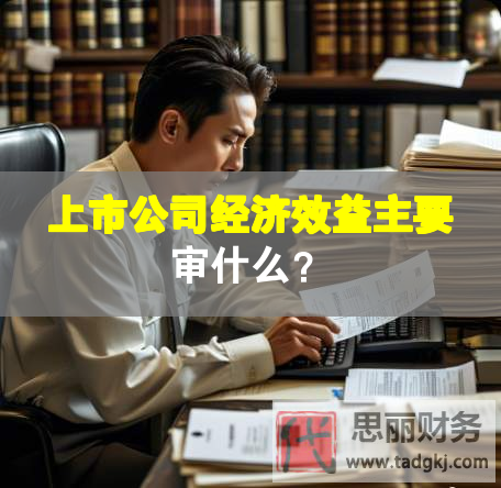 上市公司經濟效益主要審什么？
