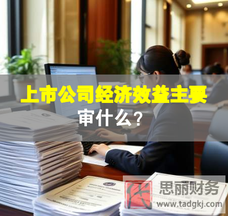 上市公司經濟效益主要審什么？
