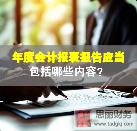 年度會計報表報告應當包括哪些內容？