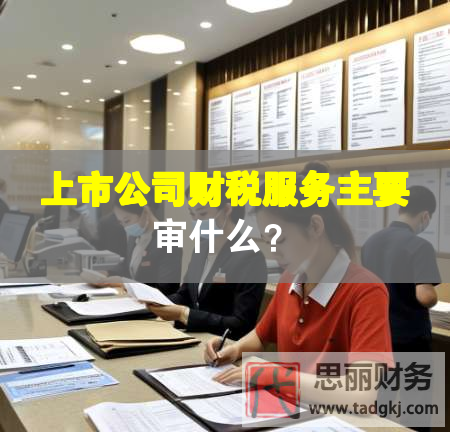 上市公司財稅服務主要審什么？