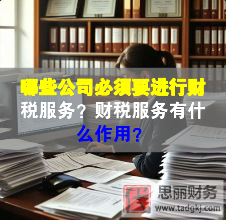 哪些公司必須要進行財稅服務？財稅服務有什么作用？