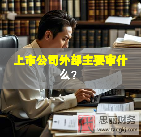 上市公司外部主要審什么？