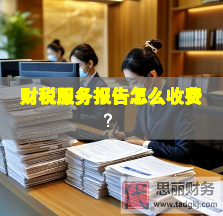財稅服務報告怎么收費？