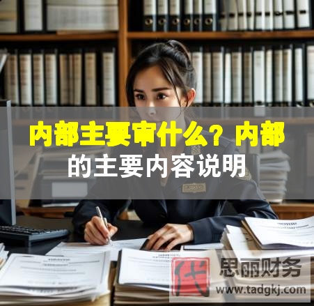 內部主要審什么？內部的主要內容說明