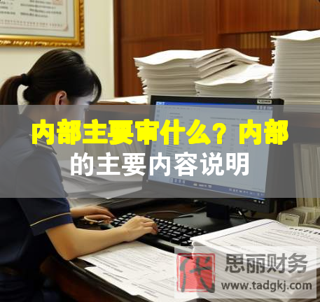 內部主要審什么？內部的主要內容說明