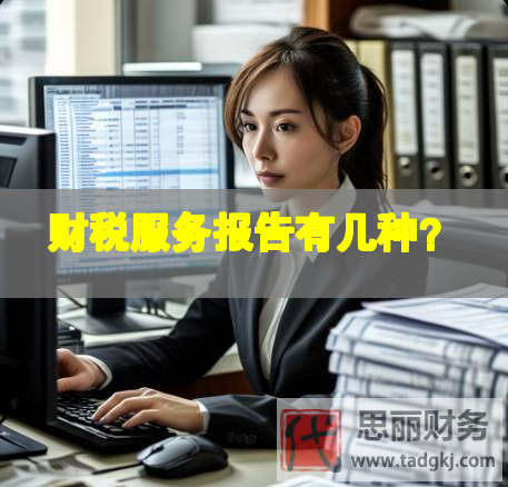財稅服務報告有幾種？