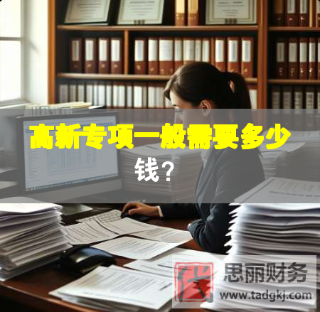 高新專項一般需要多少錢？