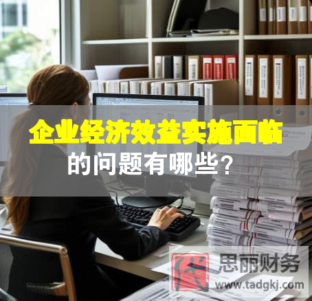 企業經濟效益實施面臨的問題有哪些？