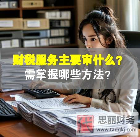 財稅服務主要審什么？需掌握哪些方法？