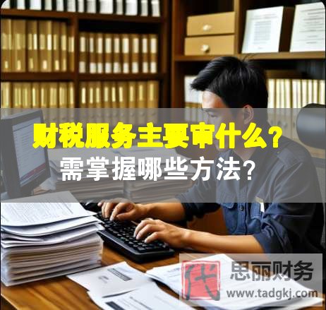 財稅服務主要審什么？需掌握哪些方法？