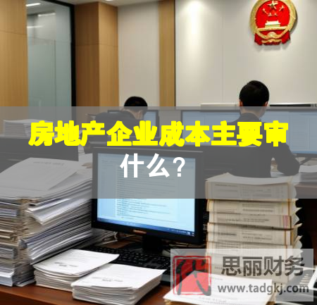 房地產企業成本主要審什么？